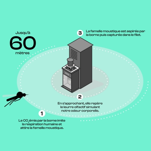 Craft Fonct Packshot Qista One