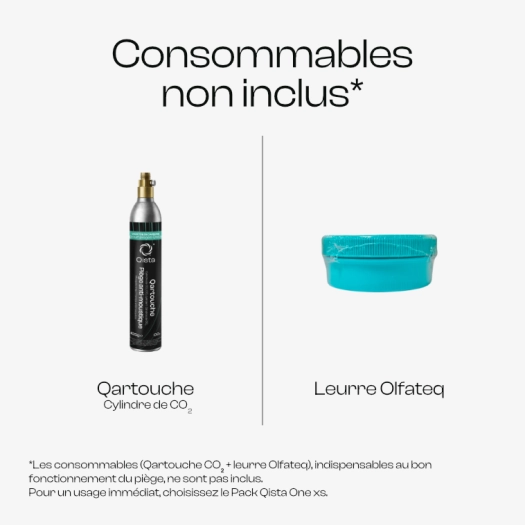TRAD Conso non inclus