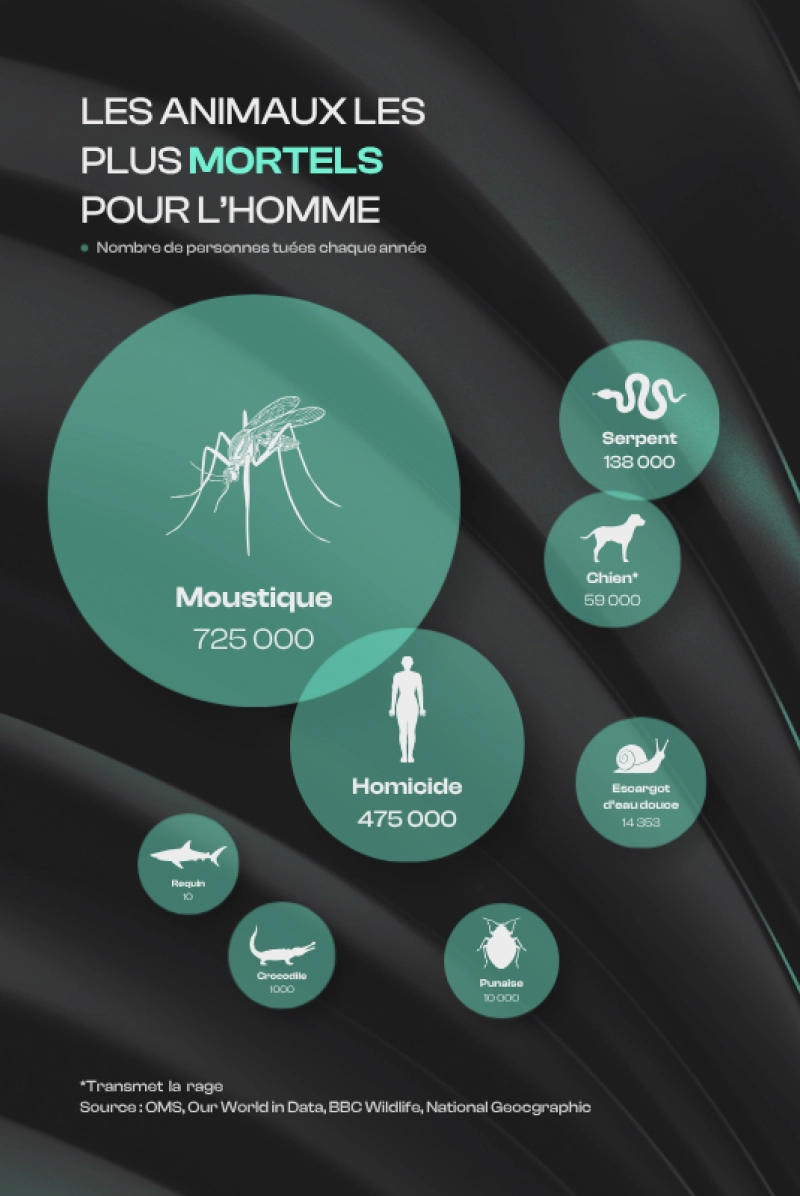 Worlds deadliest animals FR2