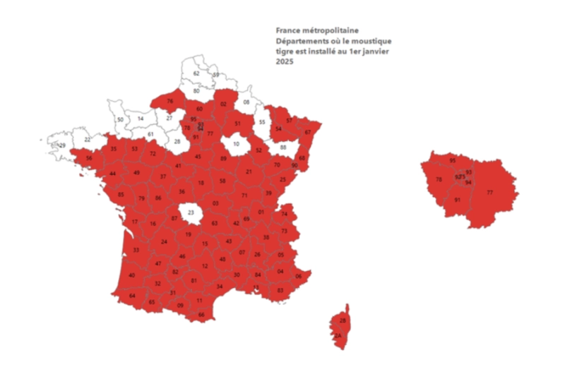 Carte presence Moustique Tigre en France en 2025