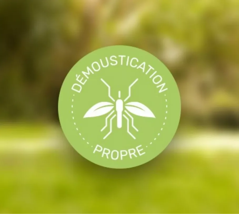 Qista Logo Demoustication copie